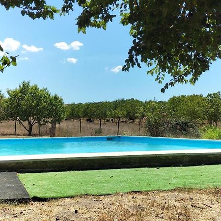 Rod Ranch Livestock - Stanza Doppia Con Letti Singoli Βίλα Campagnano Di Roma Εξωτερικό φωτογραφία