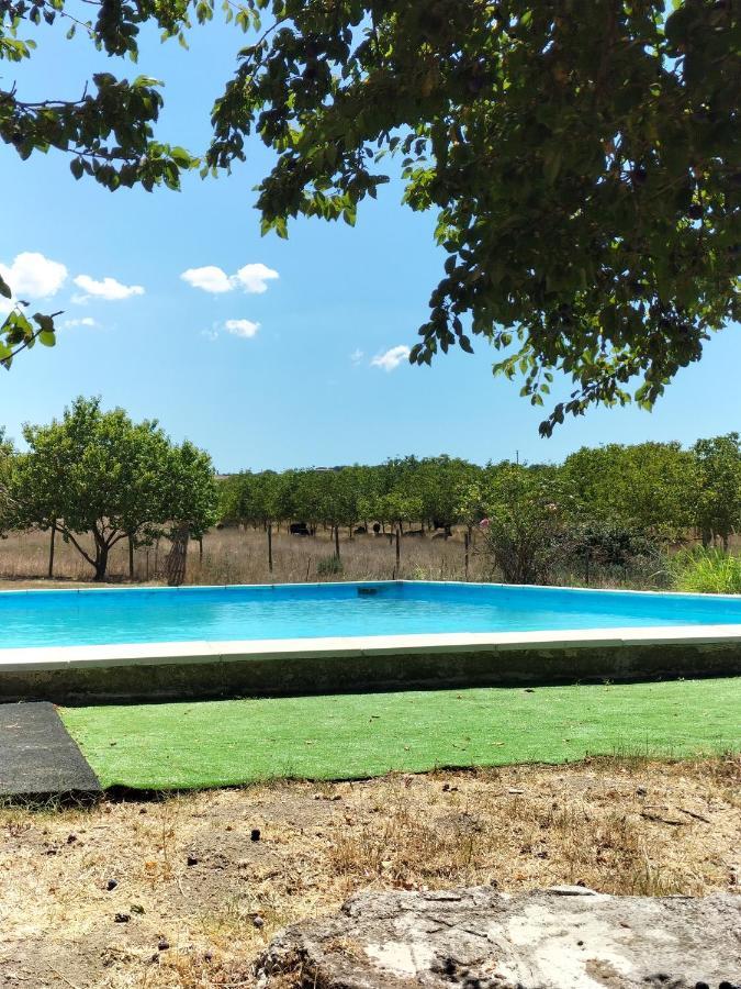 Rod Ranch Livestock - Stanza Doppia Con Letti Singoli Βίλα Campagnano Di Roma Εξωτερικό φωτογραφία